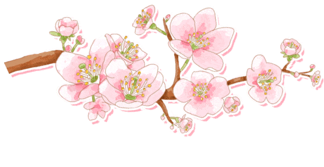 DƬ