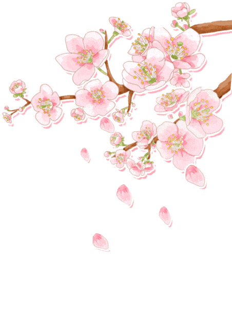 DƬ