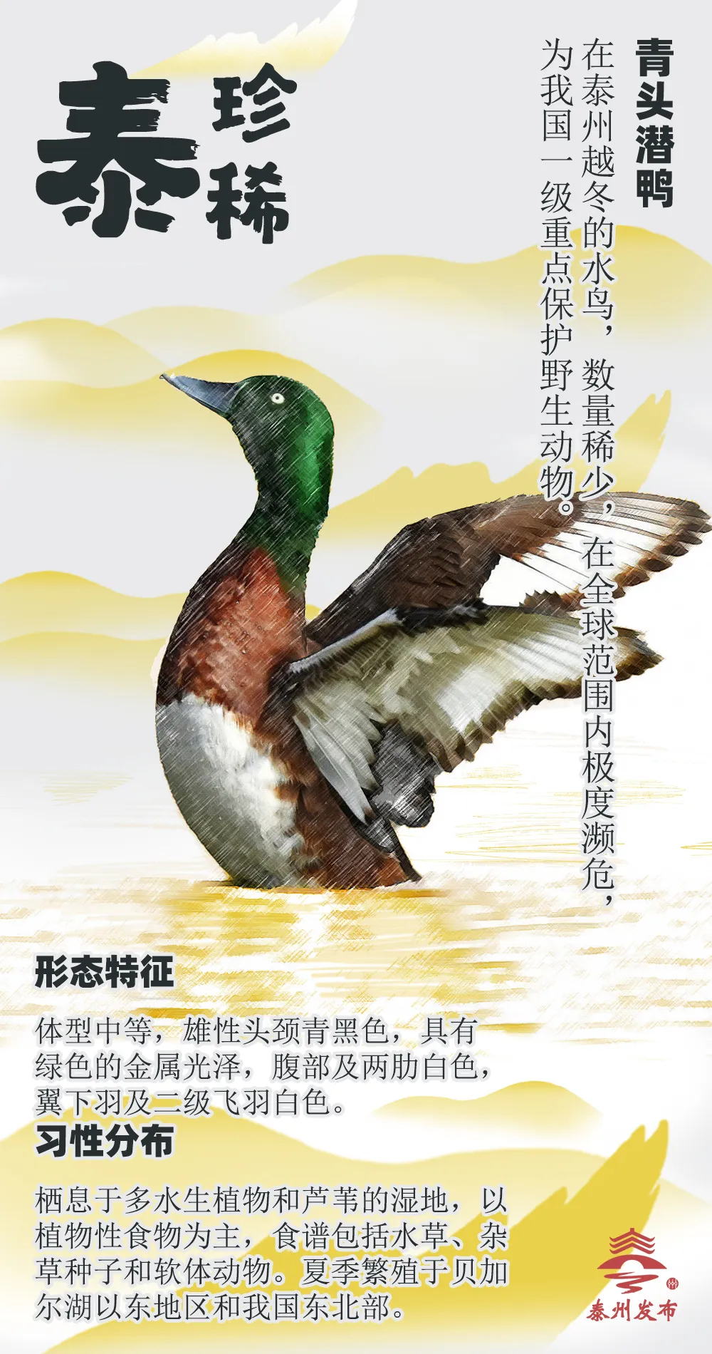 DƬ