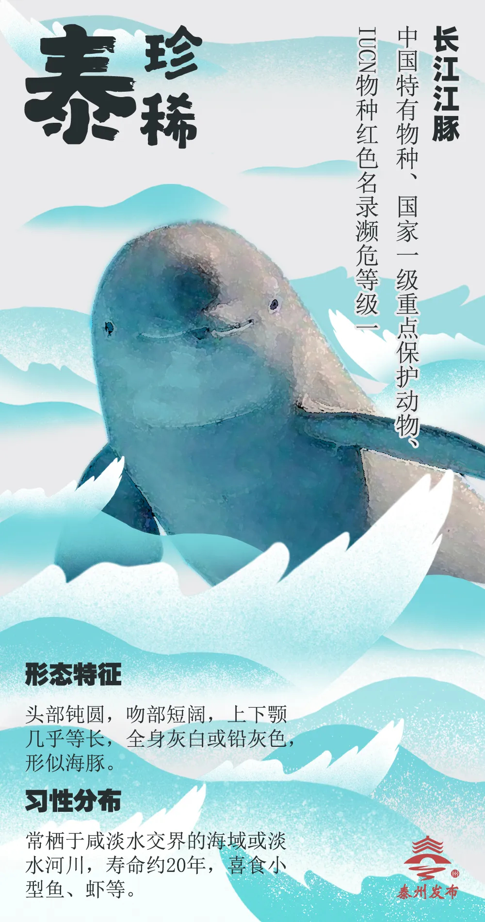 DƬ