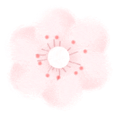 DƬ