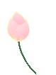 DƬ