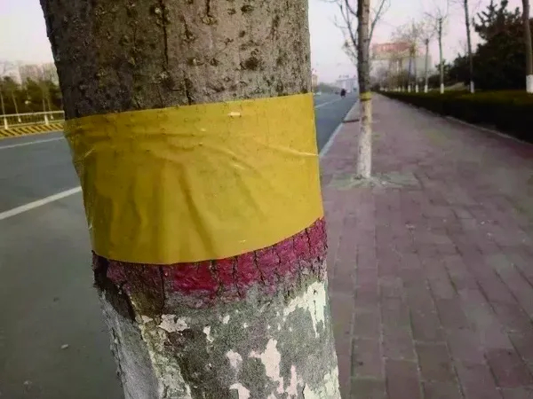 DƬ