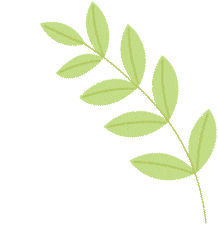 DƬ