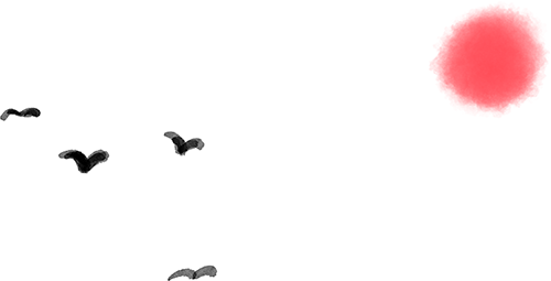 DƬ