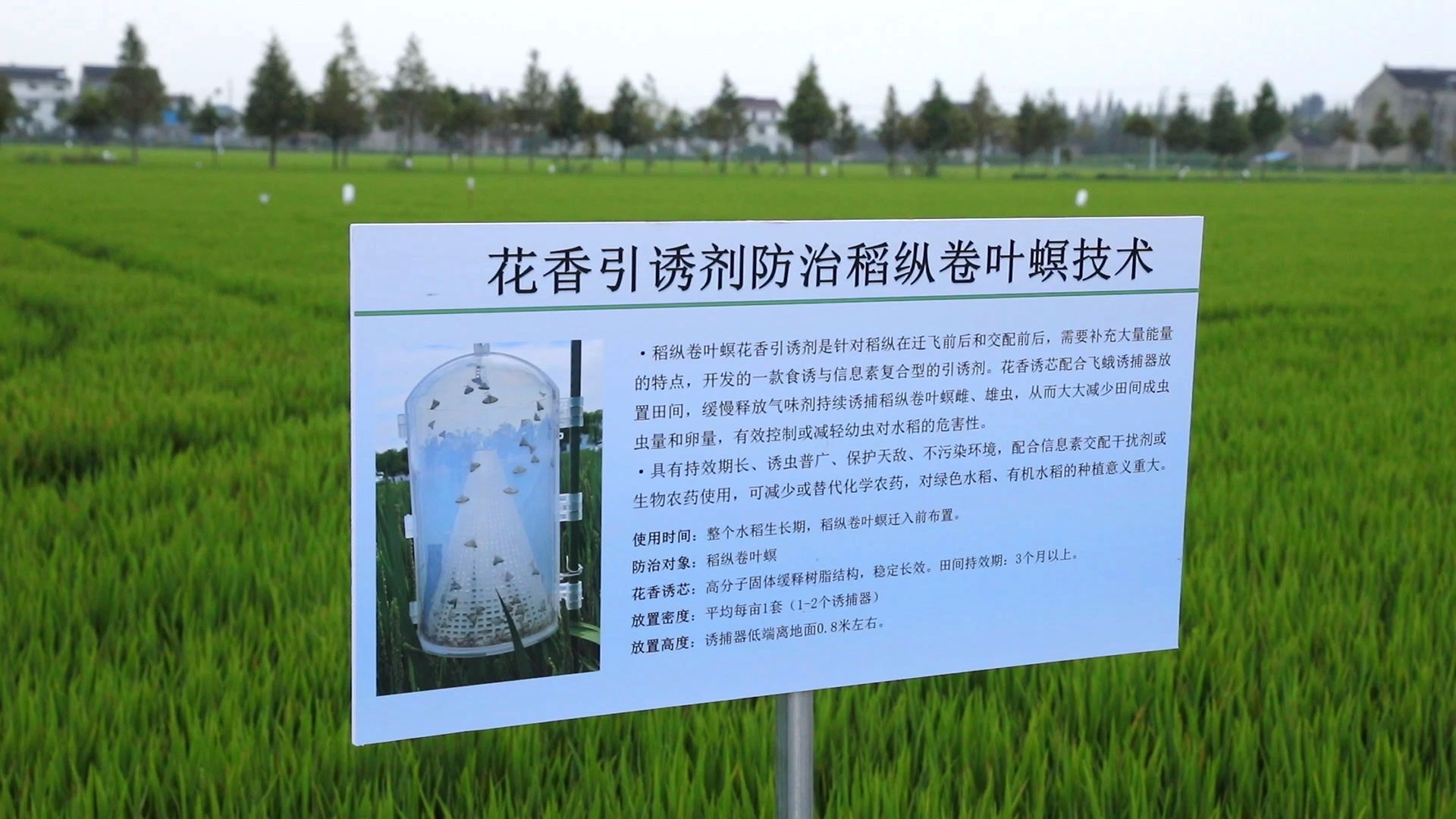 泰興:筑牢豐收根基,綠色科技實(shí)現(xiàn)糧食“保產(chǎn)”與“護(hù)綠”雙贏