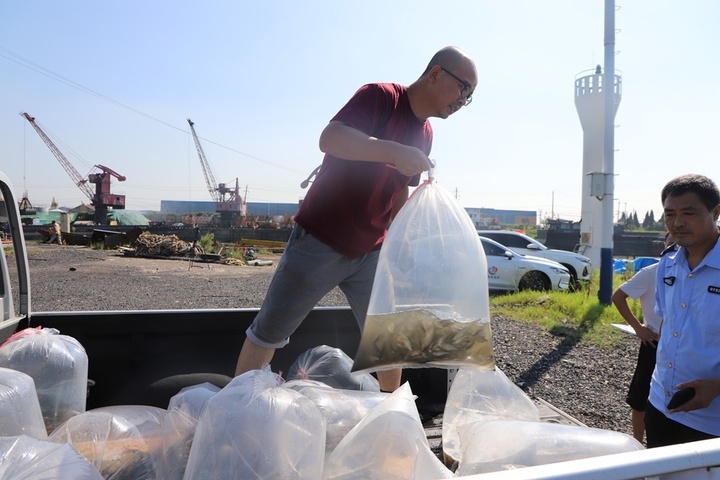 交匯點 | 靖江試行小微生態環境損害“替代修復”,這張罰單“化身”1萬尾放養魚苗