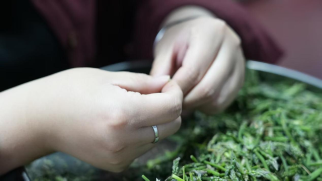 泰州姜堰:一根蘆筍繪就宜居宜業和美鄉村新畫卷