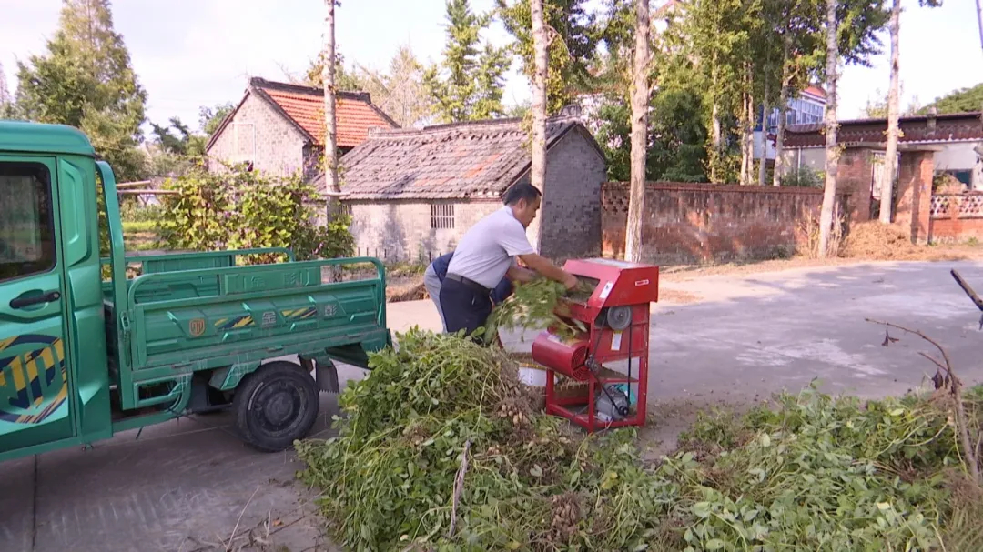 泰興這個村為什么沒有秸稈“包袱”?