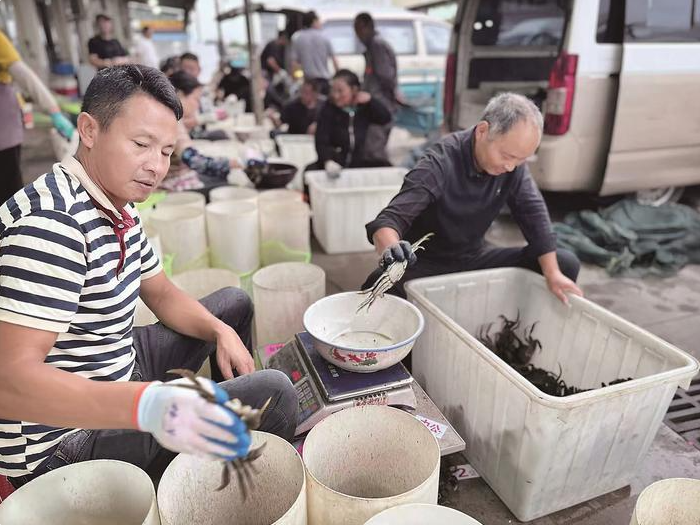 p(ji)g̩зϰ˷߅؛\(yn)YԴ100v؛܇(ch)ȫ_(ki)