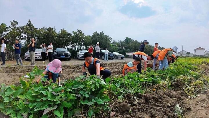 交匯點(diǎn) | 【樂(lè)享國(guó)慶“大餐”•村趣】假日來(lái)泰州鄉(xiāng)村,感受別樣詩(shī)與遠(yuǎn)方……