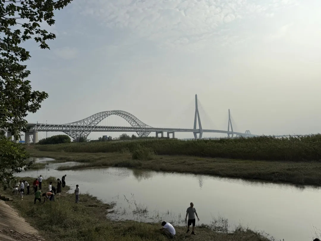 龍鳳呈祥!泰州常州進入“熱戀期”……