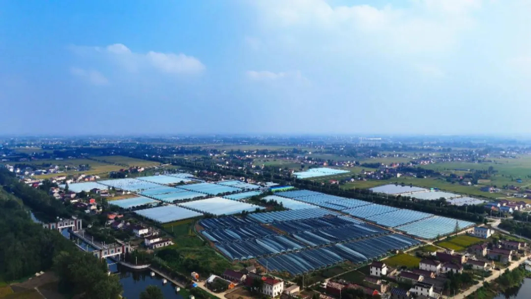 國慶假期,姜堰這個基地迎來一批特殊的客人……