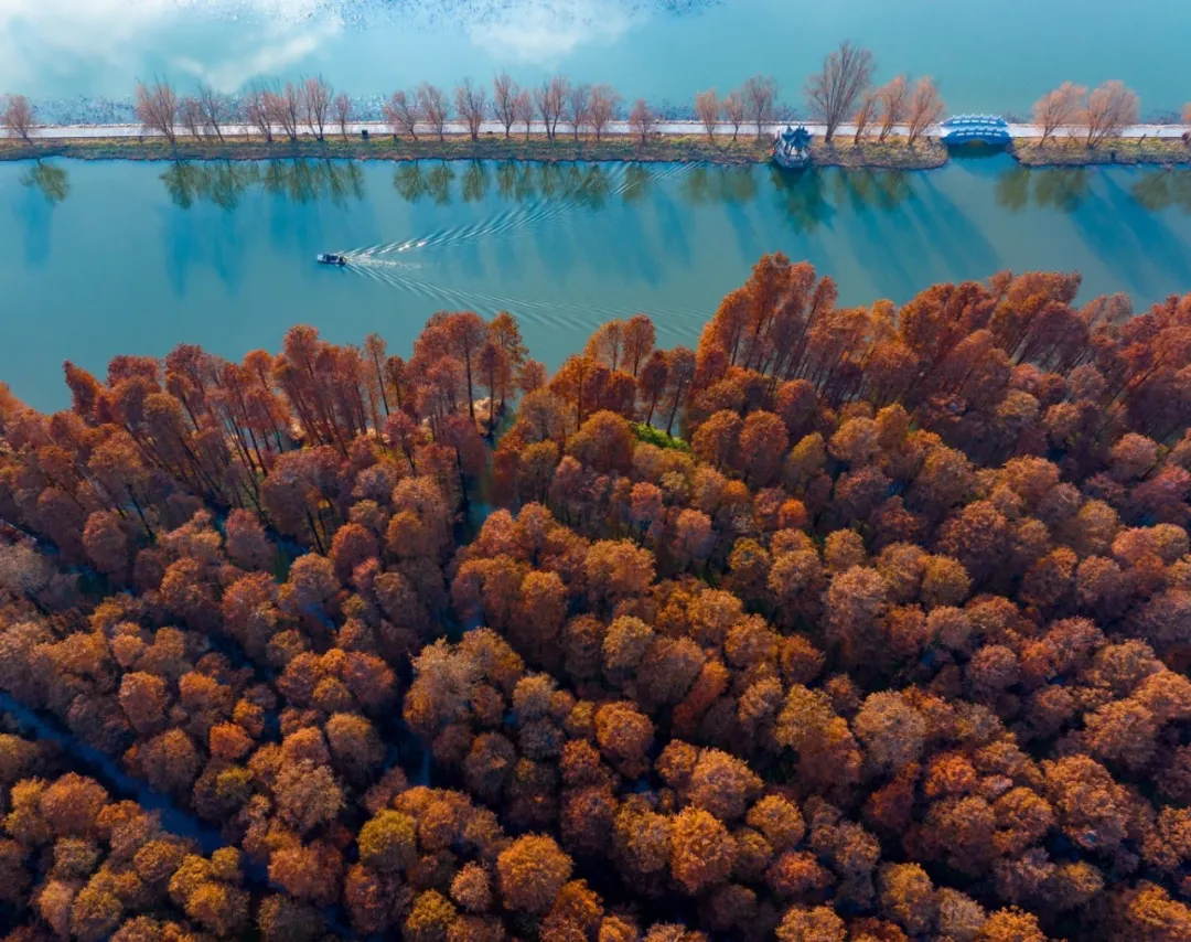 『泰州溫度』— 景點篇 | 跑泰馬,免費玩!