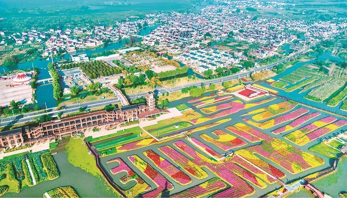 青春華章 | 興化:垛田為硯河網為墨,譜寫生態水鄉新篇章