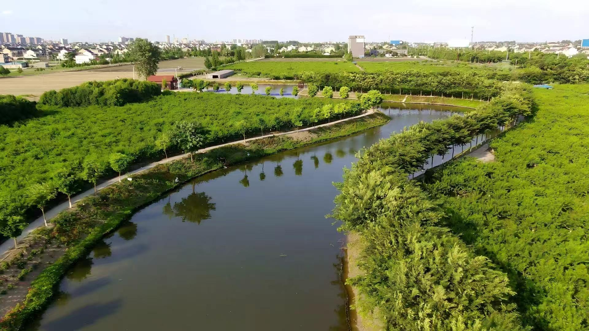 青春華章|江蘇泰興:河道煥新“活”起來 生態經濟“旺”起來