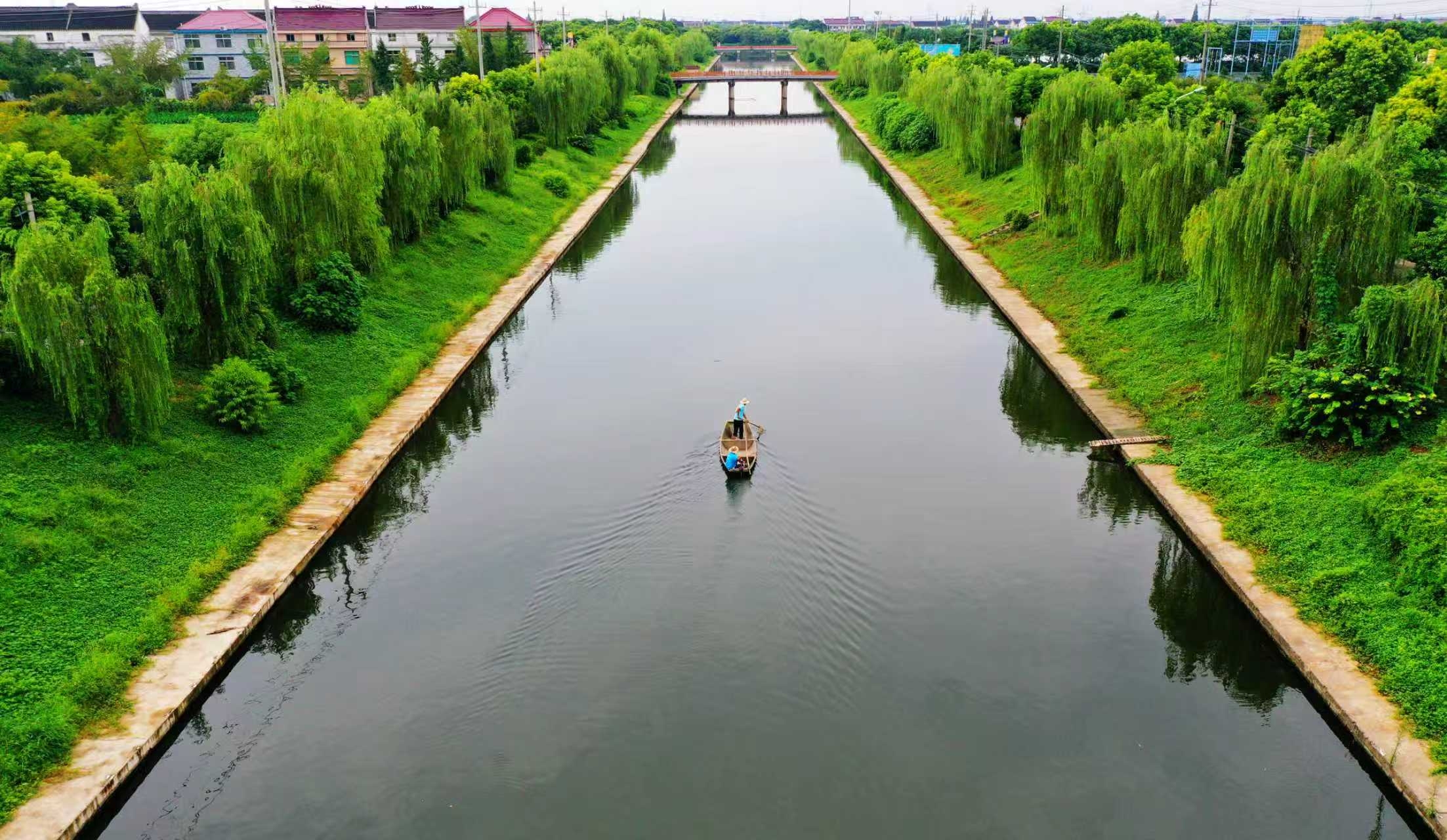 青春華章|泰興:以跨界河湖“共護”之力,交出生態民生“滿意卷”