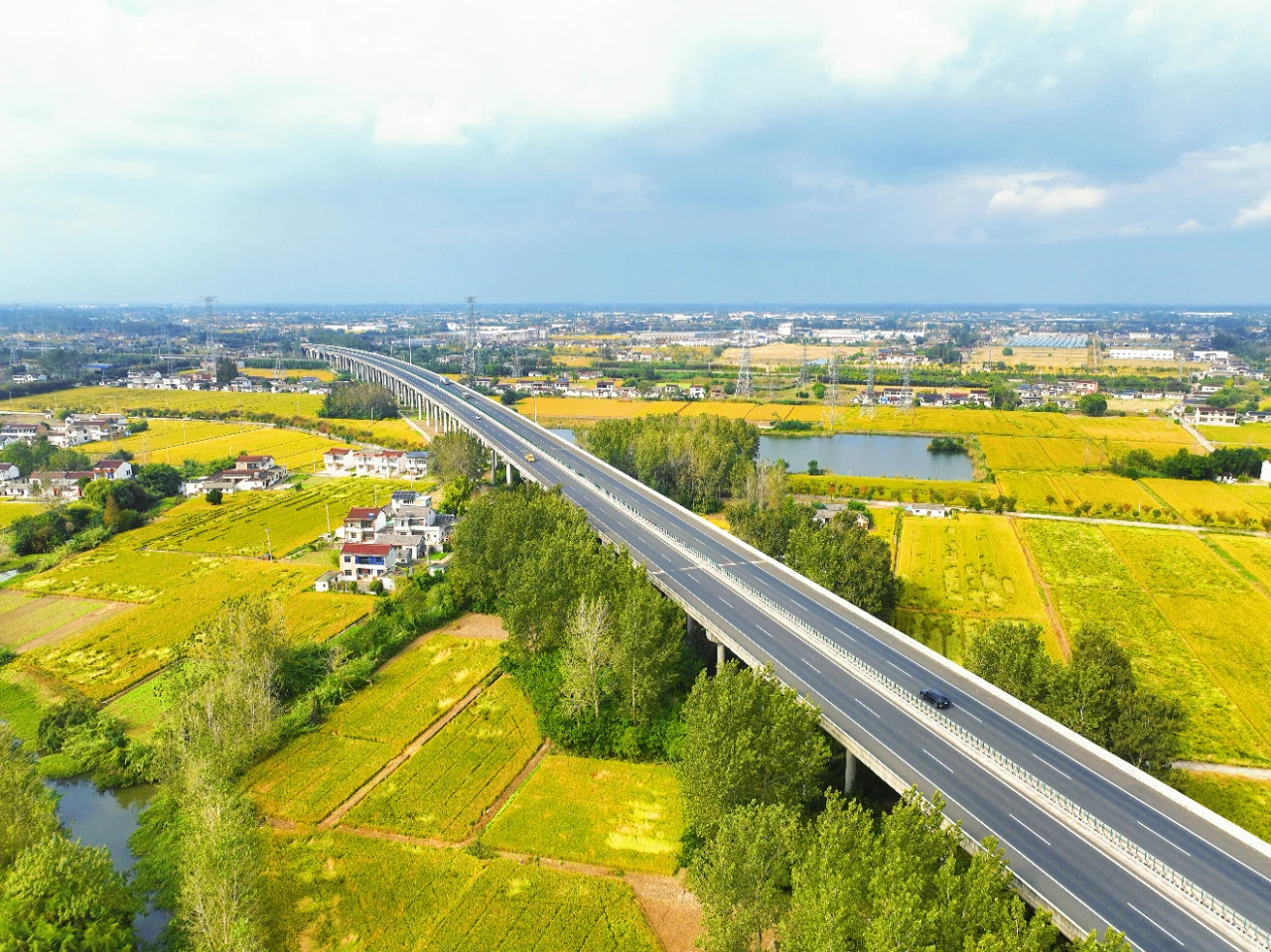 視覺姜堰 | 稻浪卷金鋪姜堰 農機鳴曲慶豐收