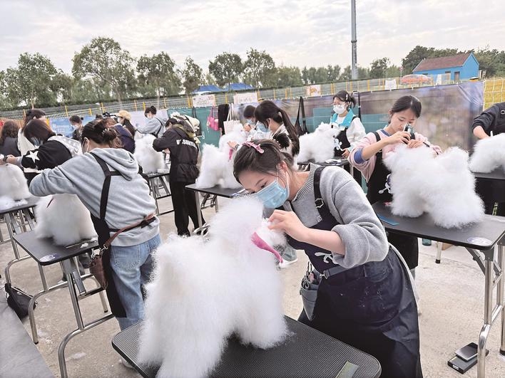 全省寵物行業(yè)精英泰州競技