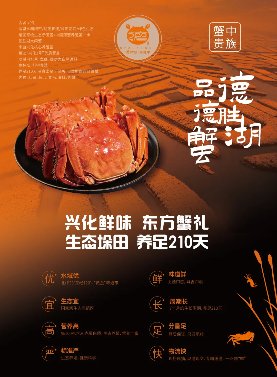 興化文旅福利再升級(jí),德勝“蟹禮”誠(chéng)意來(lái)襲