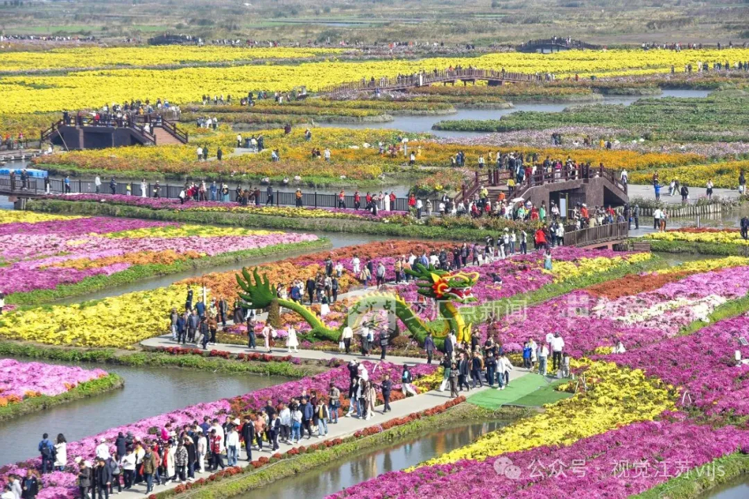 視覺江蘇 | 泰州全球發(fā)福利后,留言區(qū)已炸……