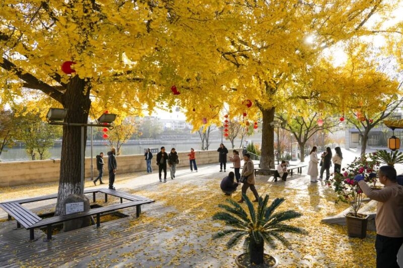 泰州海陵:出片率100%!海陵“含金量”在上升!