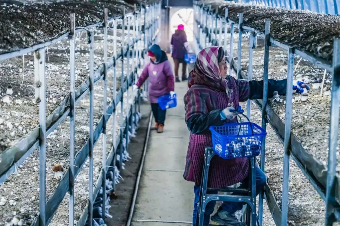 �������������@�ڡ��r�������r�����Ŀ�����