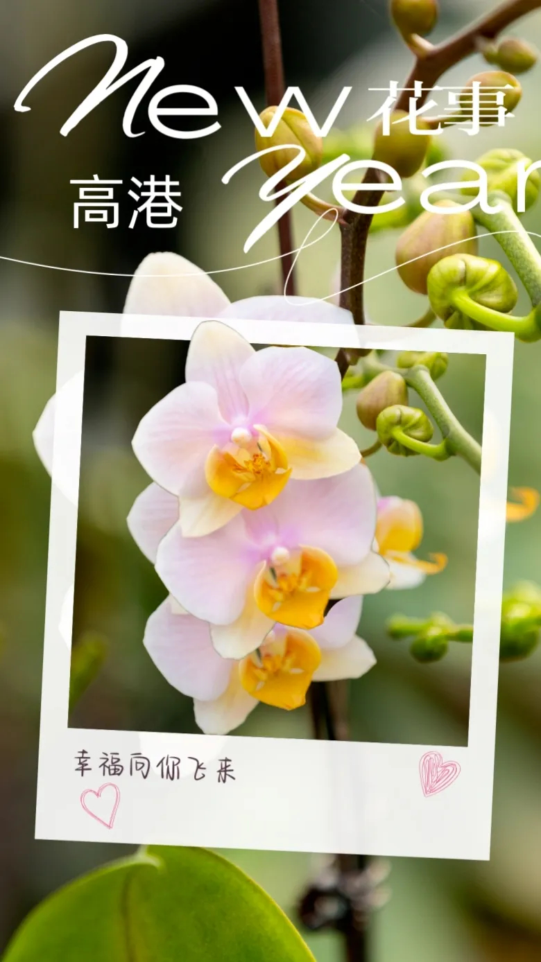 ���棡�ڴ�������һ�����ػ�԰