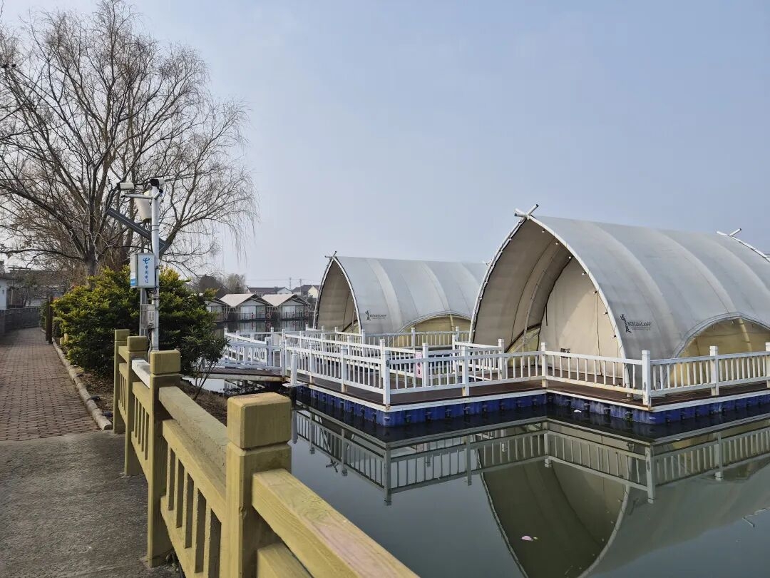 �´��߻��ӣ�ꐗ�壺ˮ�l��ζ�⣬Ӳ�Pӭ�´�