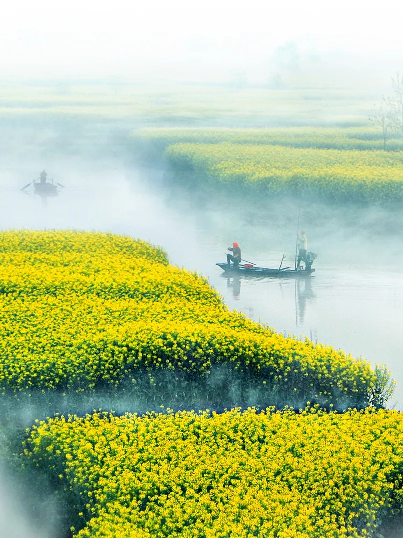 ���sˮ�l������һ����ɫʢ�磡