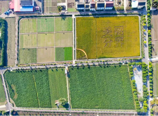 ʡ��ʾ����̩�d�@2�������x