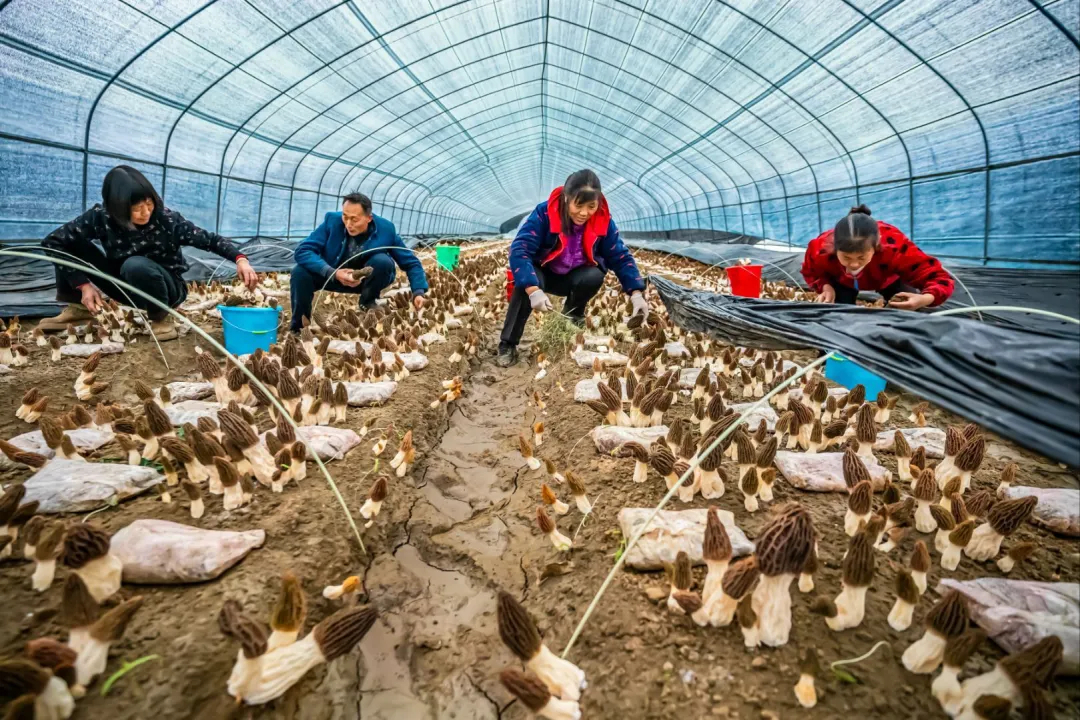 ���ߴ��յ�һ�r���������У�