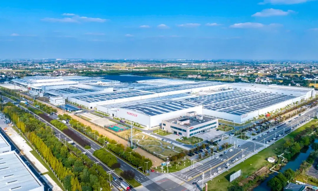 越卷越强！why？(图4)