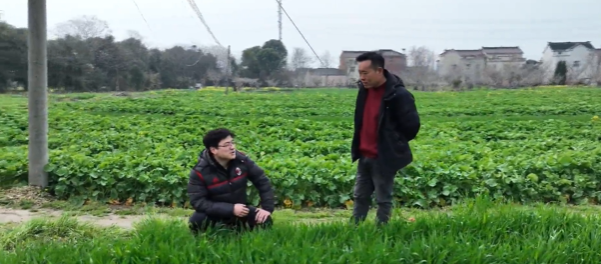 泰州:抢抓农时备足农资 全面开展春播春管