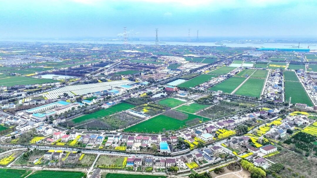 生态宜居是乡村振兴的靓丽底色——“探寻德胜村的共富路”系列报道之三