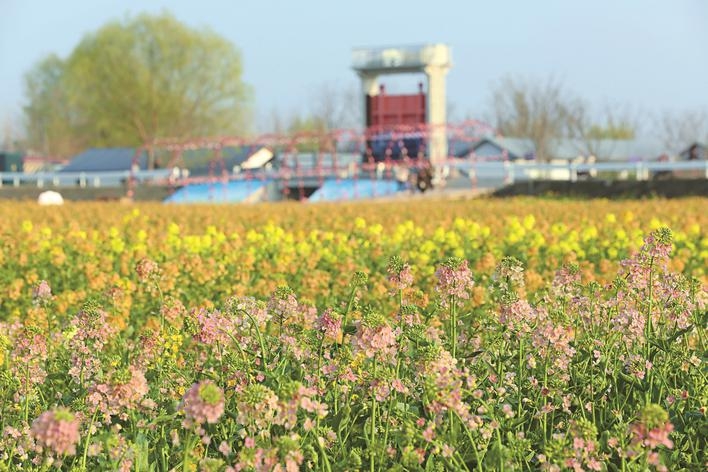 “Color Walk”在泰州悄然兴起——街头巷尾,开启一场治愈系“寻宝”