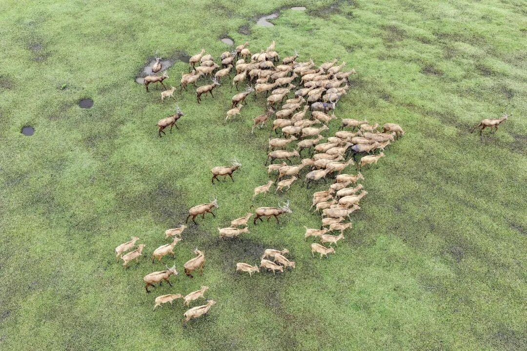 ͼƬ
